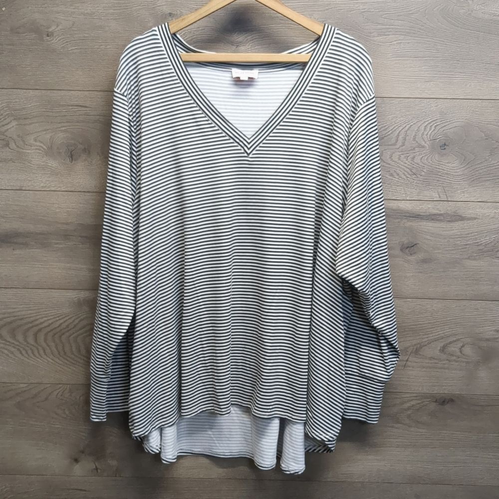 Molly & Isadora V Neck Striped Long Sleeve Top Women's Plus Size 5X